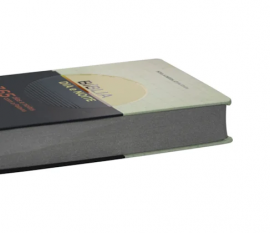 B�blia Dia e Noite NAA - 365 Dias e Noites com a Palavra