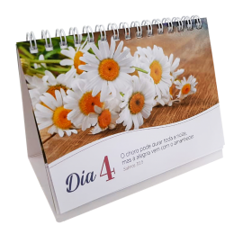 Consolo para cada dia