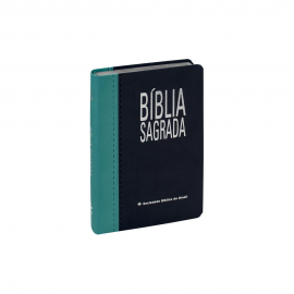 B�blia Sagrada NAA Letra Gigante | Letra Grande SBB